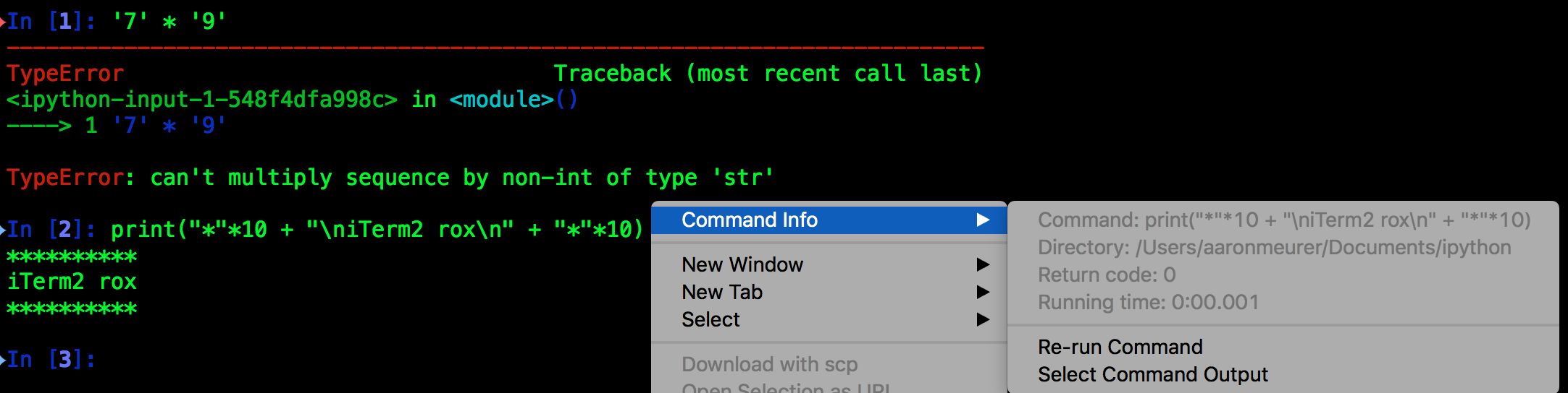 _images/ipython-example.png